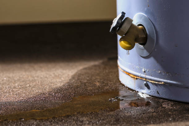 Best Carpet water damage restoration  in Long Beach, WA