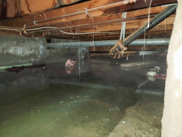 Best Ceiling water damage repair  in Long Beach, WA