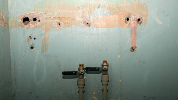 Best Flood damage cleanup  in Long Beach, WA