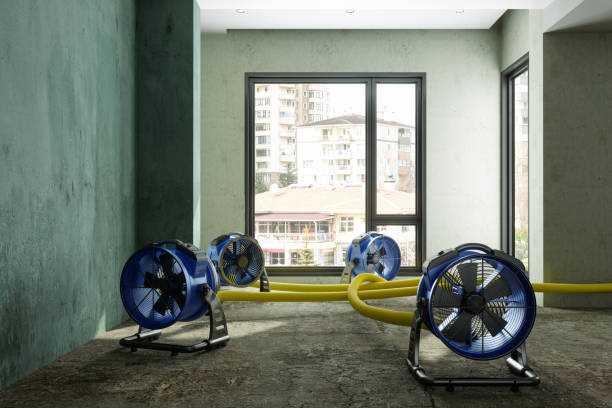 Best Ceiling water damage repair  in Long Beach, WA